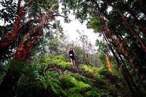 BIB: 
                            <button type="button" onclick="openModal(26201574)" class="btn btn-primary btn-sm float-right btn-popup" data-toggle="modal" data-target=".modal-high-quality">
                        <i class="fas fa-shopping-cart"></i> Add to Cart
                    </button>
                                            <button type="button" onclick="isThisMe(26201574, true)" class="btn btn-success btn-sm float-right btn-popup btn-isme hidden" data-toggle="tooltip" data-placement="bottom" title="นี่คือรูปของคุณใช่ไหม คลิกที่นี่เพื่อเอาเข้าอัลบั้ม">
                        <i class="fas fa-plus"></i> Add to album
                    </button>
                    <button type="button" onclick="isThisMe(26201574, false)" class="btn btn-warning btn-sm float-right btn-popup btn-isnotme hidden">
                        <i class="fas fa-ban"></i> Remove from album
                    </button>